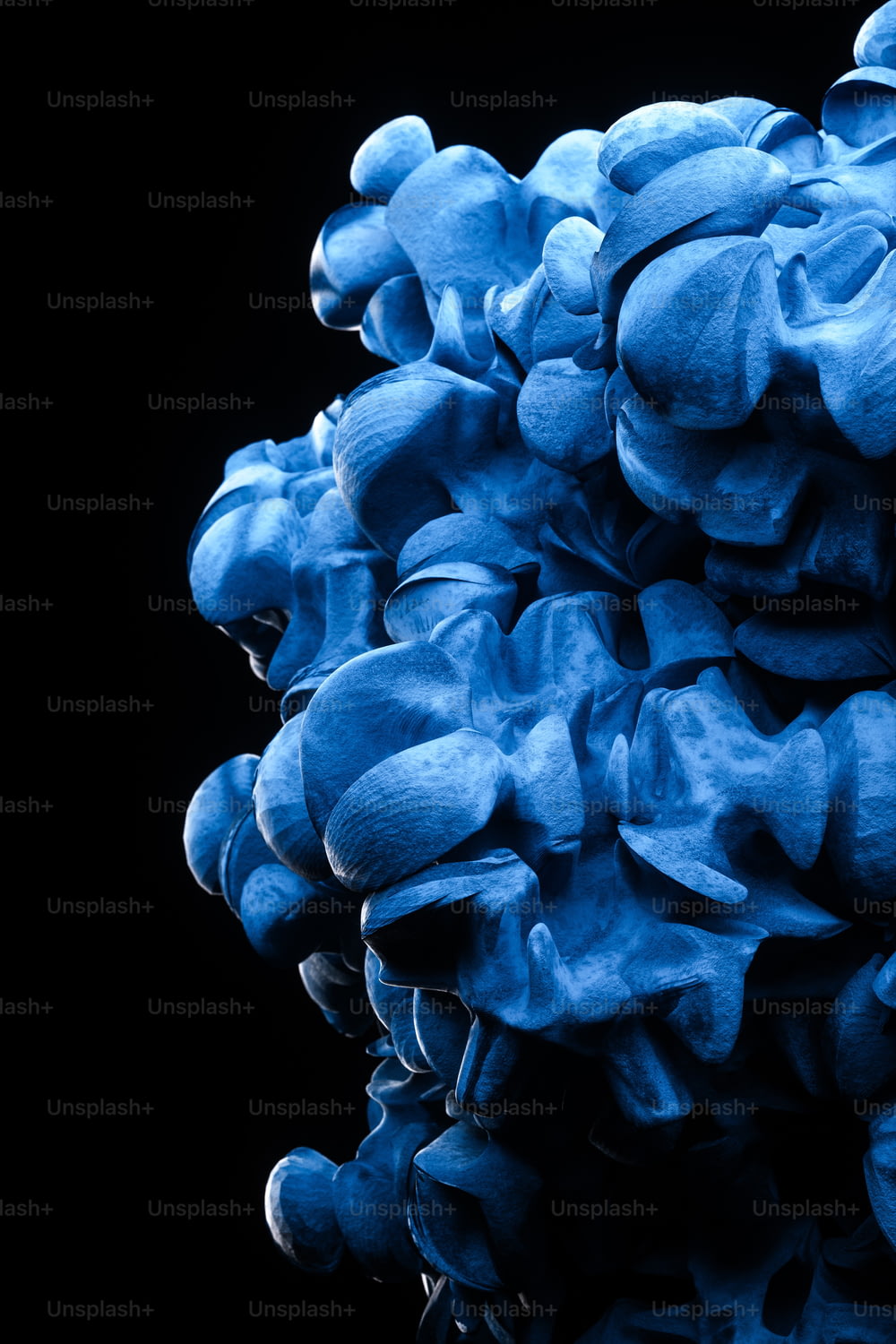 a bunch of blue flowers on a black background