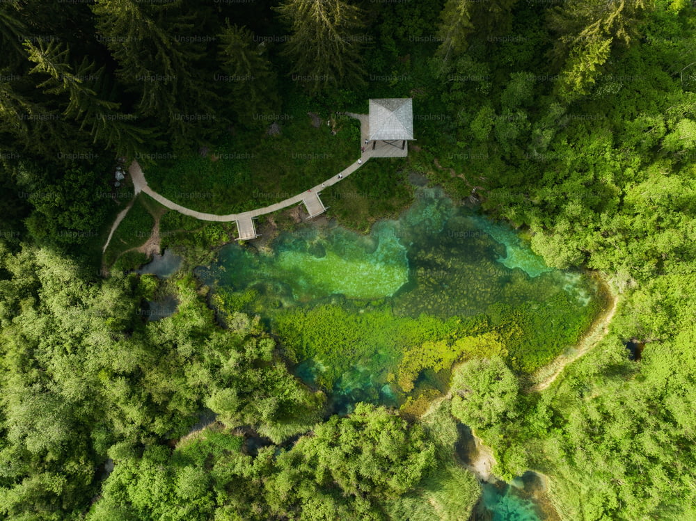une vue aérienne d’une forêt avec une petite maison au milieu de celle-ci