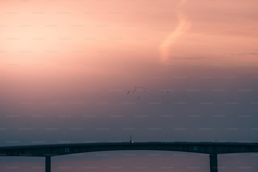 Un ponte che ha uccelli che volano sopra di esso