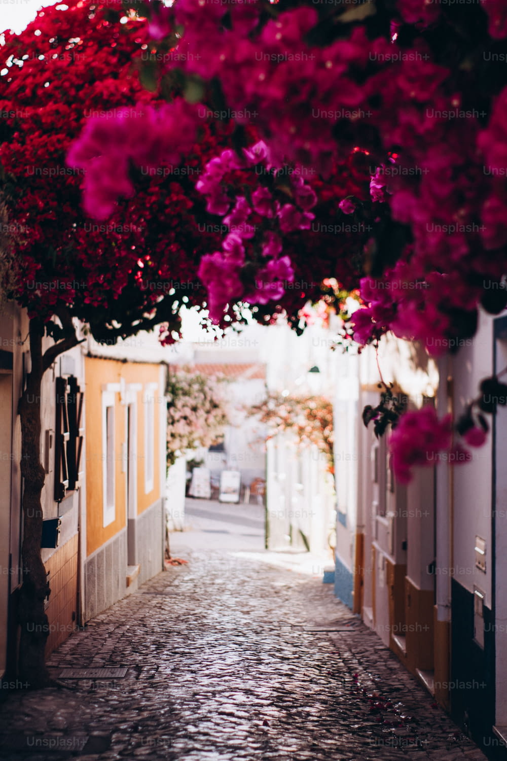 Una calle estrecha con un ramo de flores colgando sobre ella