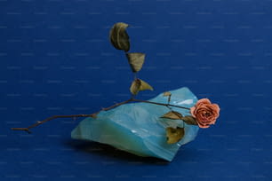 a rose that is sitting on a piece of plastic