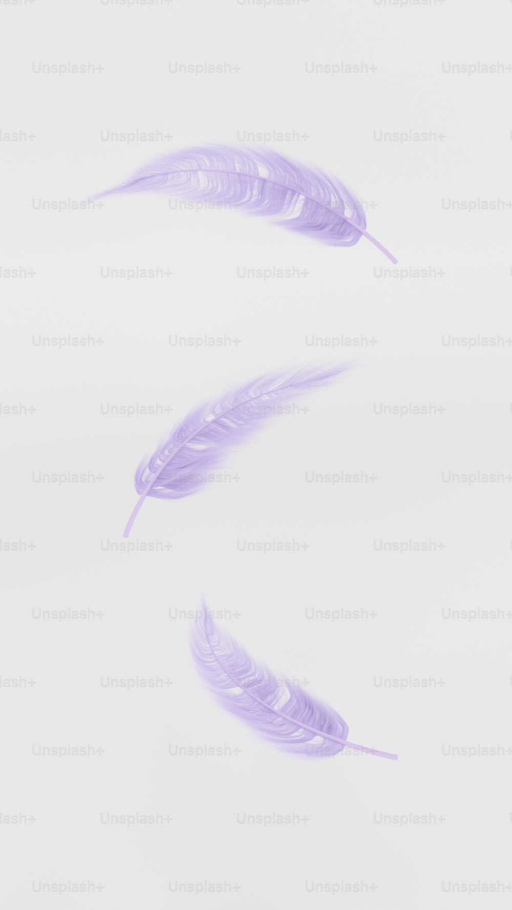 a couple of purple feathers floating in the air