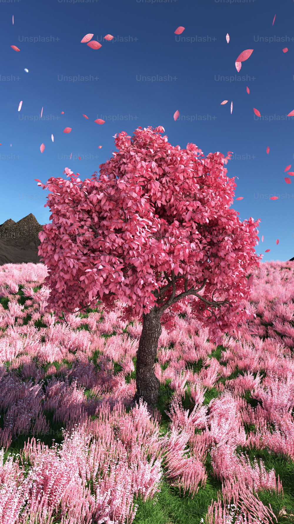 uma árvore cor-de-rosa em um campo de flores roxas
