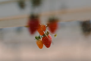 a group of strawberries hanging from a line