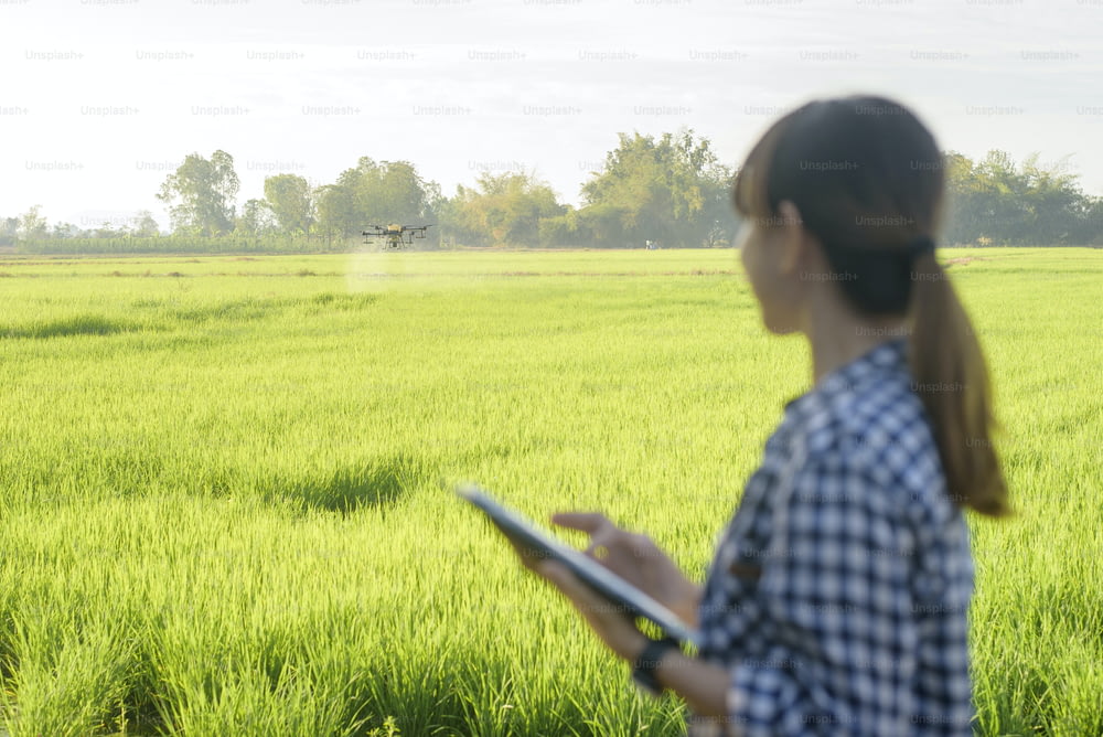 Une jeune agricultrice intelligente avec une tablette sur le terrain, des innovations de haute technologie et une agriculture intelligente