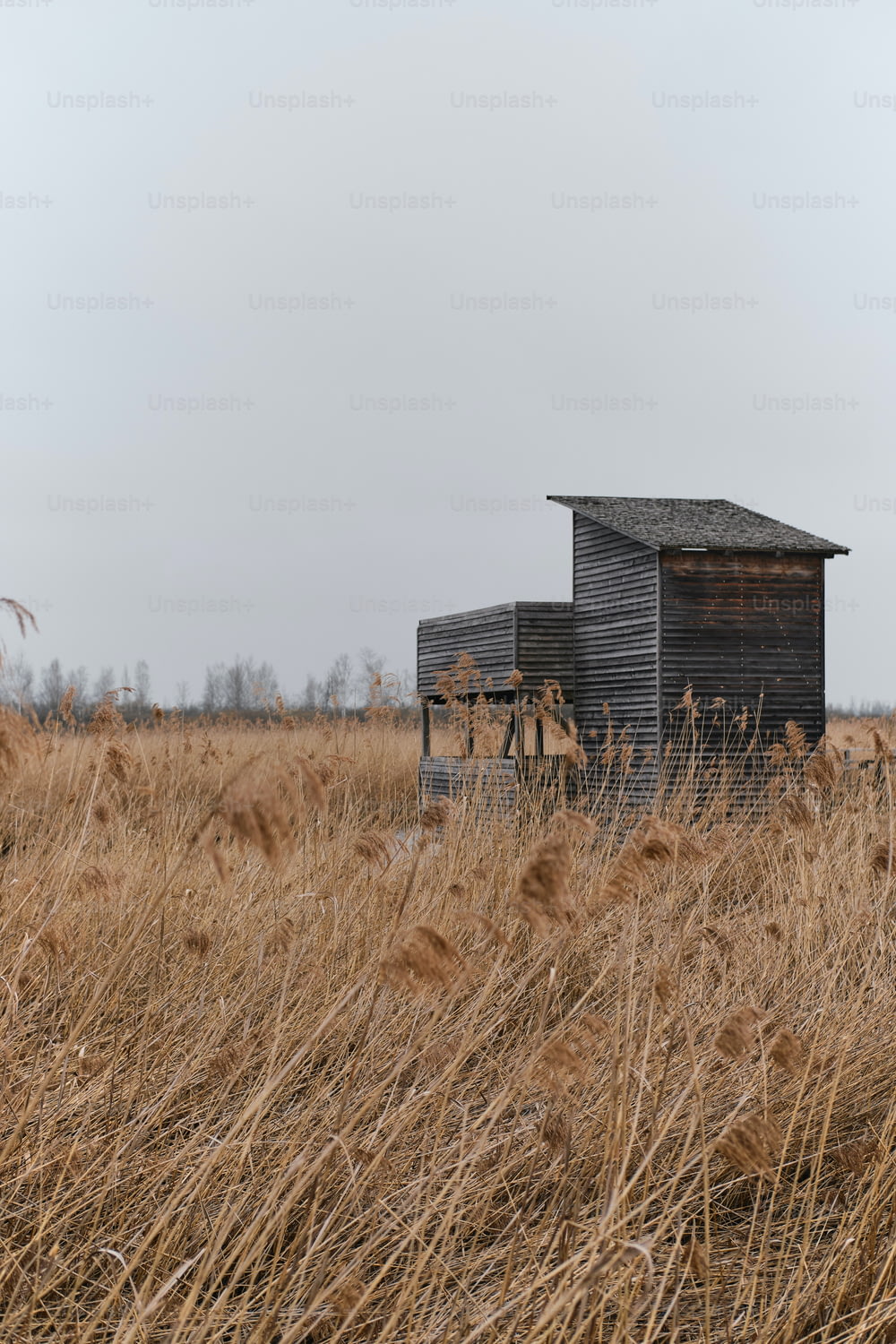 an old shack sits in a field of tall grass