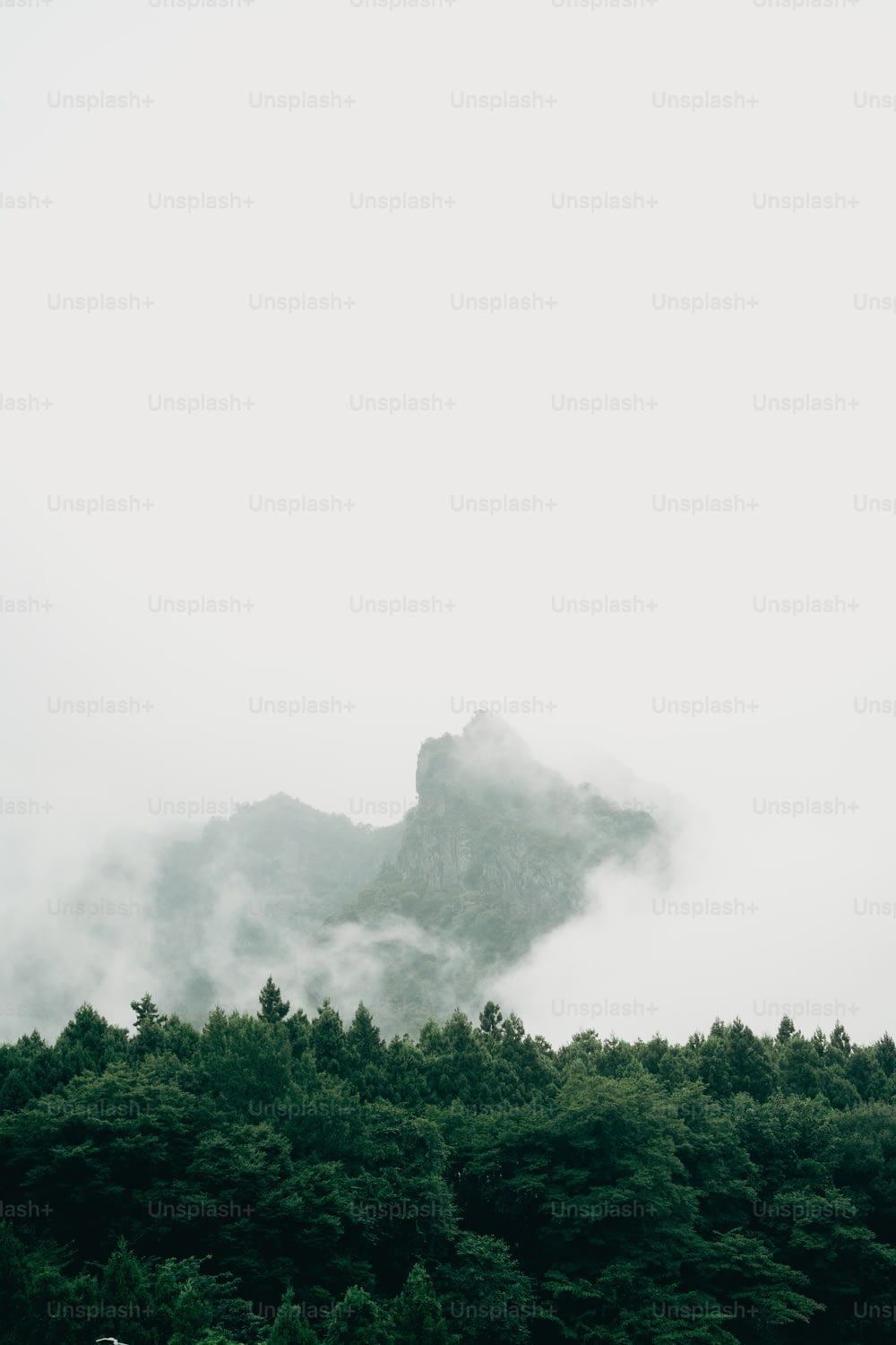 Una montaña cubierta de niebla con árboles en primer plano