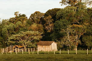 une grange dans un champ avec des arbres en arrière-plan