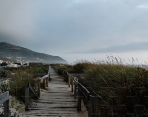 a wooden walkway leading to the beach with a mountain in the background
