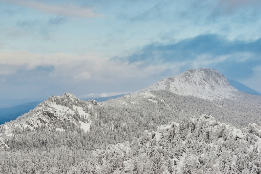 雪に覆われた山と木々
