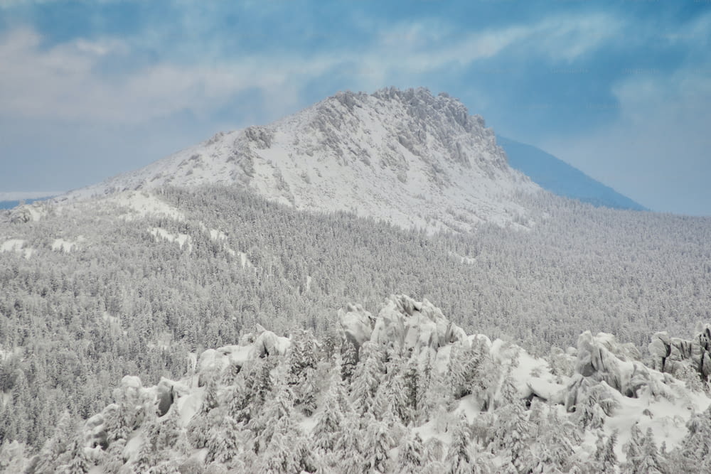雪に覆われた山と木々が前景