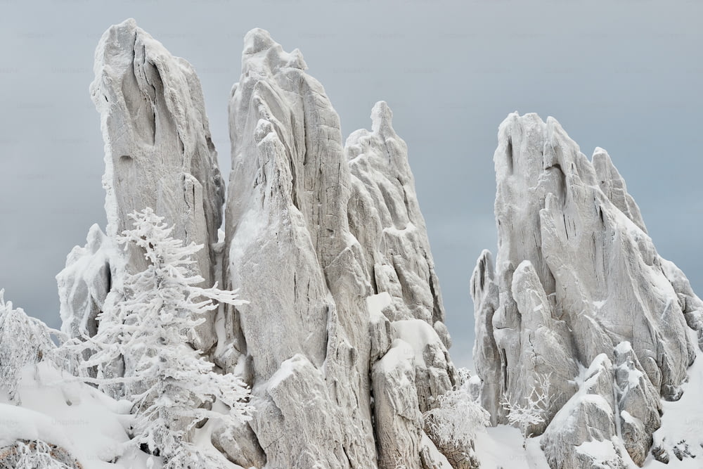 um grupo de rochas cobertas de neve ao lado de árvores