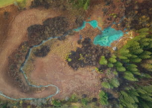 a bird's eye view of a river running through a forest