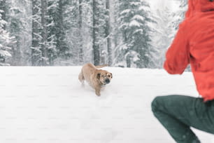 uma pessoa com uma jaqueta vermelha e um cachorro na neve