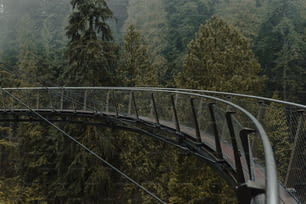 Un treno che viaggia su un ponte nel mezzo di una foresta