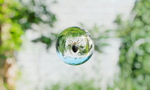 a close up of a glass ball with a bug inside of it