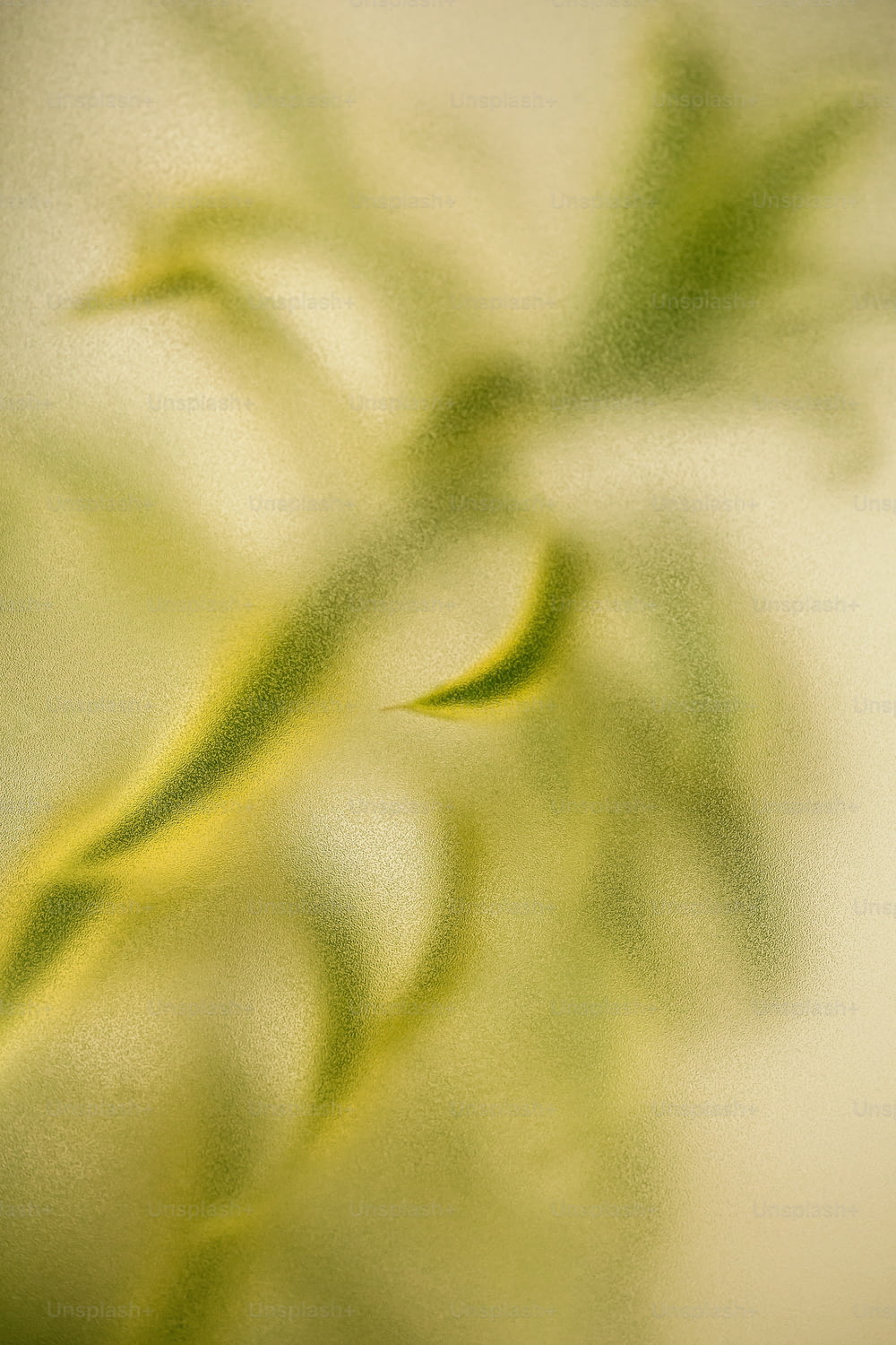 a blurry photo of a plant with green leaves