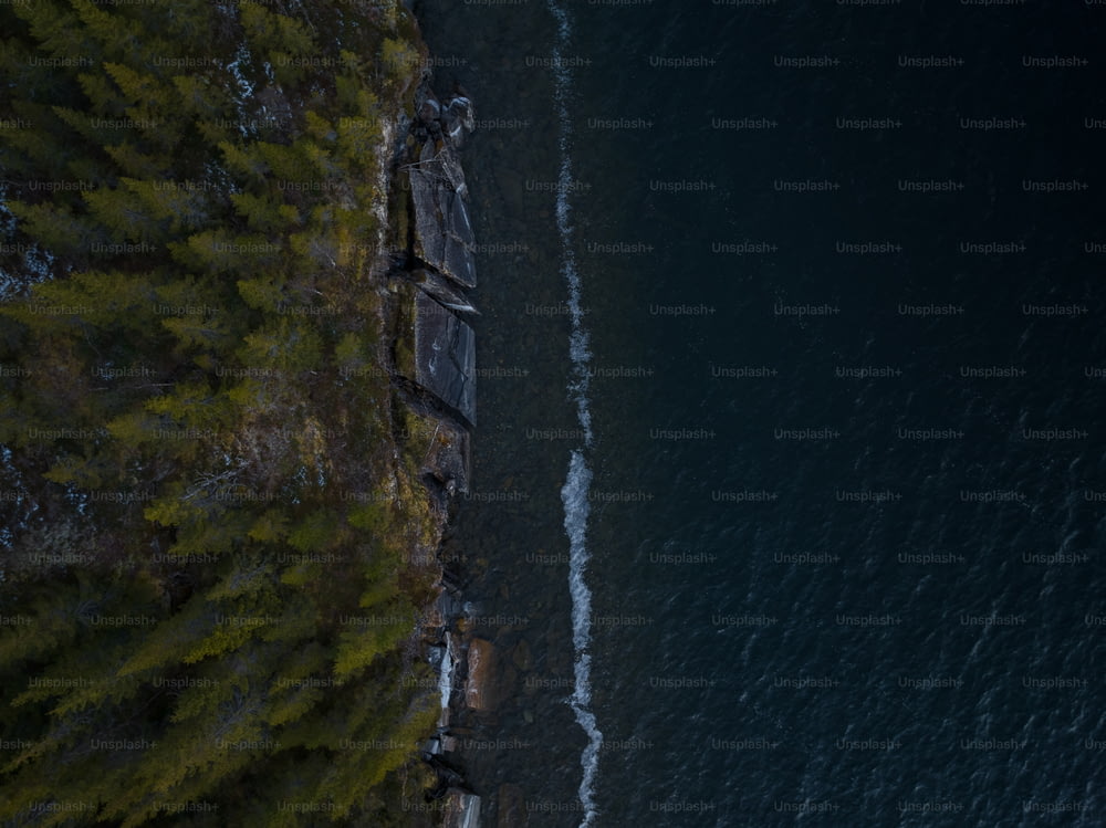 an aerial view of a body of water near a forest