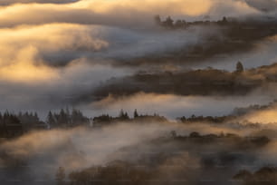 una vista di una montagna coperta di nebbia
