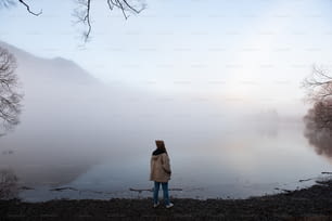 una persona in piedi in un campo nebbioso