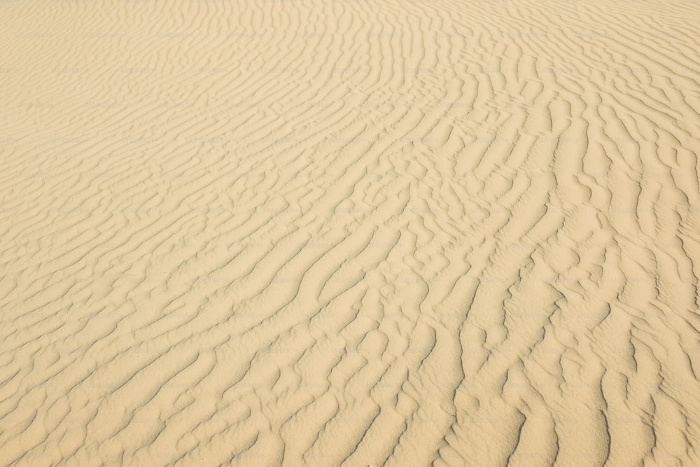 a close up of a white sand