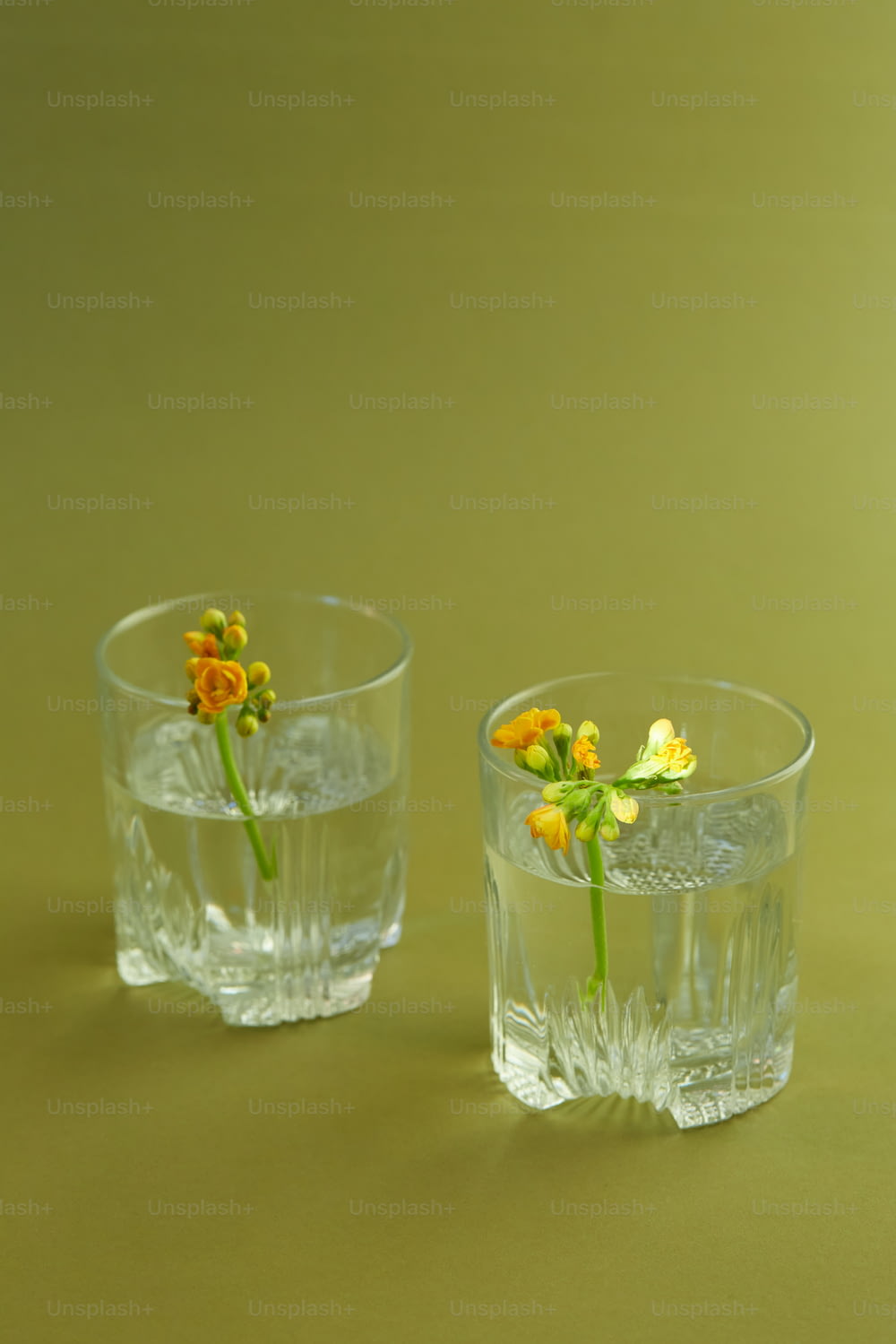 um par de vasos de vidro com flores neles