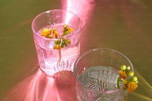 un verre avec une fleur dedans