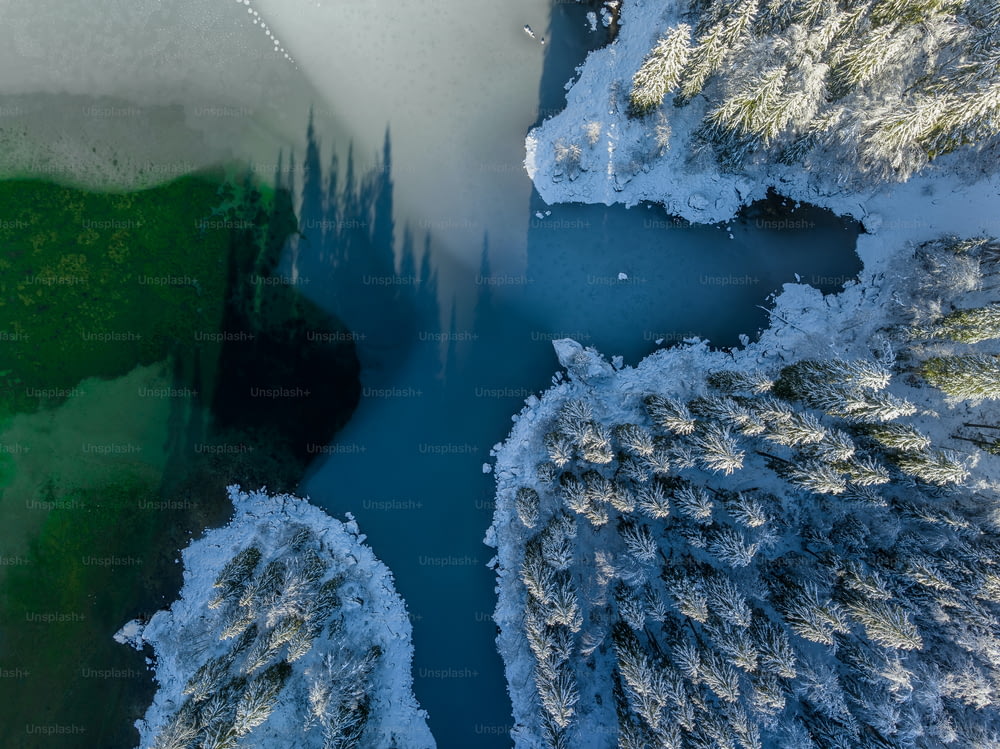 une rivière qui coule à travers une forêt couverte de neige