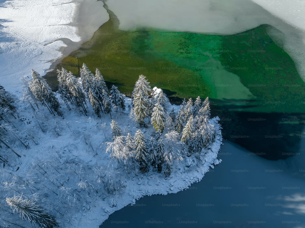 Vue aérienne d’un lac entouré d’arbres enneigés