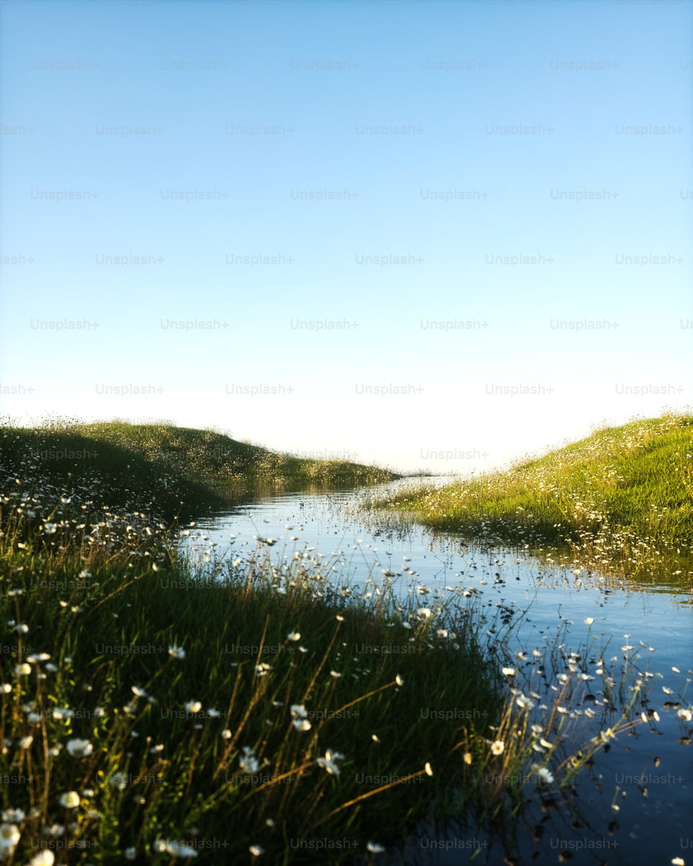 un cuerpo de agua rodeado de hierba y flores
