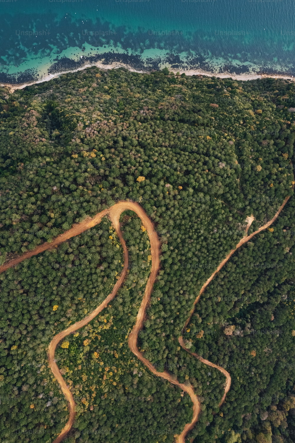 an aerial view of a winding road in the middle of a forest