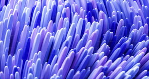 a close up of a bunch of blue and purple toothbrushes