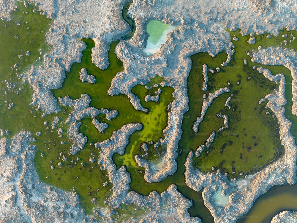 une vue aérienne d’un plan d’eau couvert d’algues