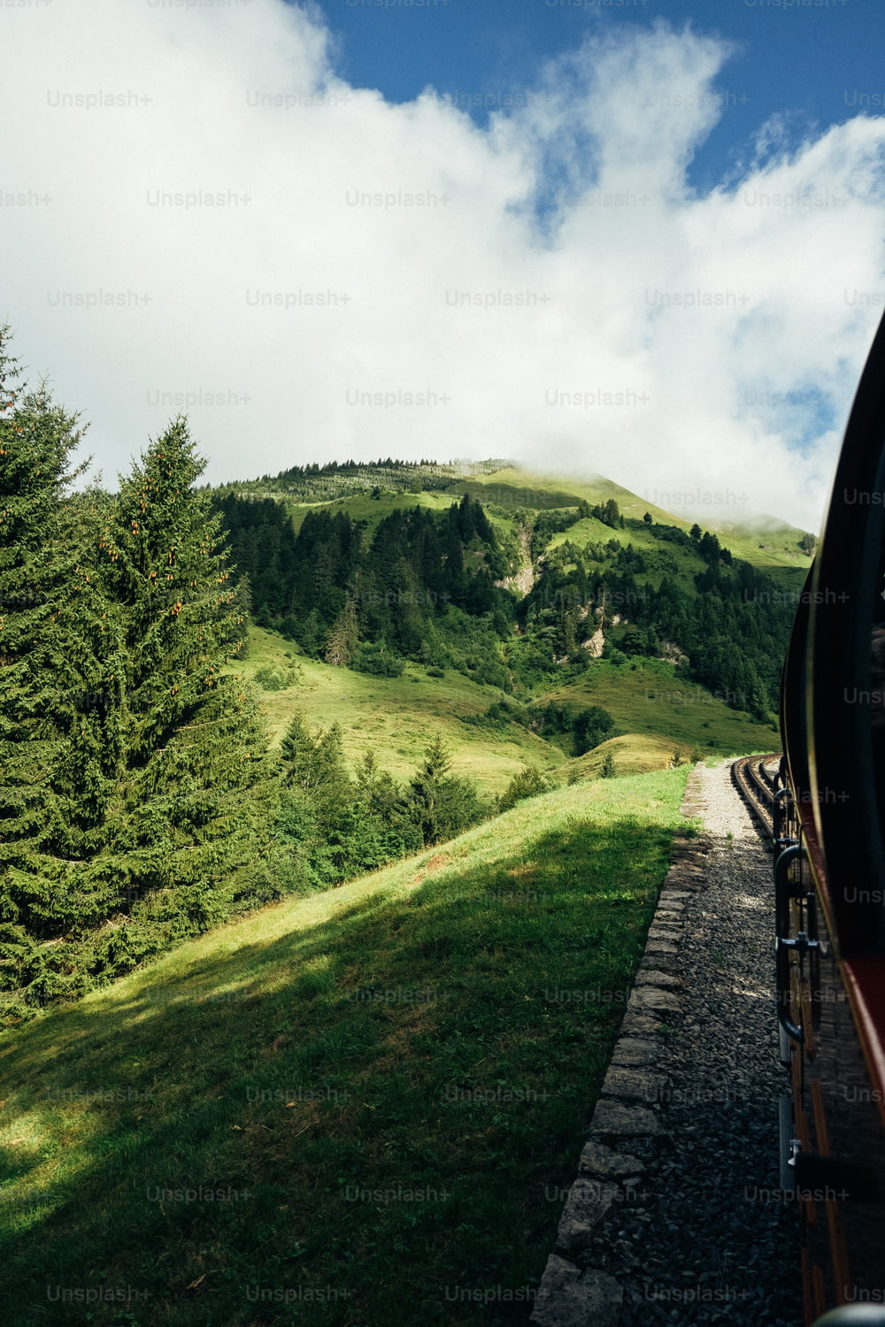 a train traveling through a lush green countryside