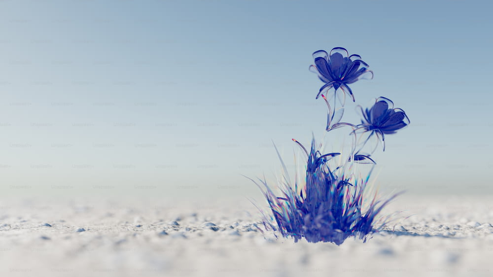 a group of blue flowers sitting on top of a snow covered ground