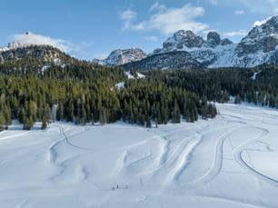 una pista da sci innevata con alberi e montagne sullo sfondo