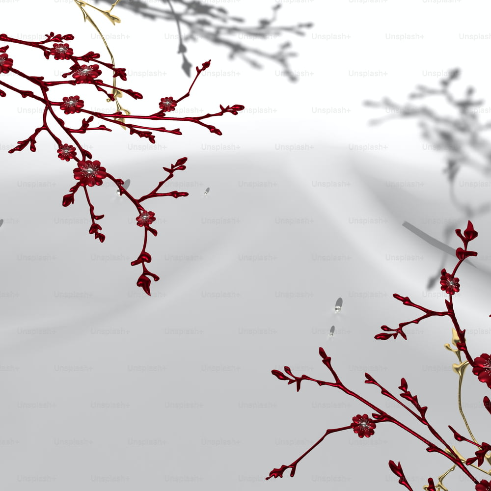 a branch with red flowers in front of a white background