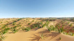 uma imagem de um deserto com grama crescendo na areia