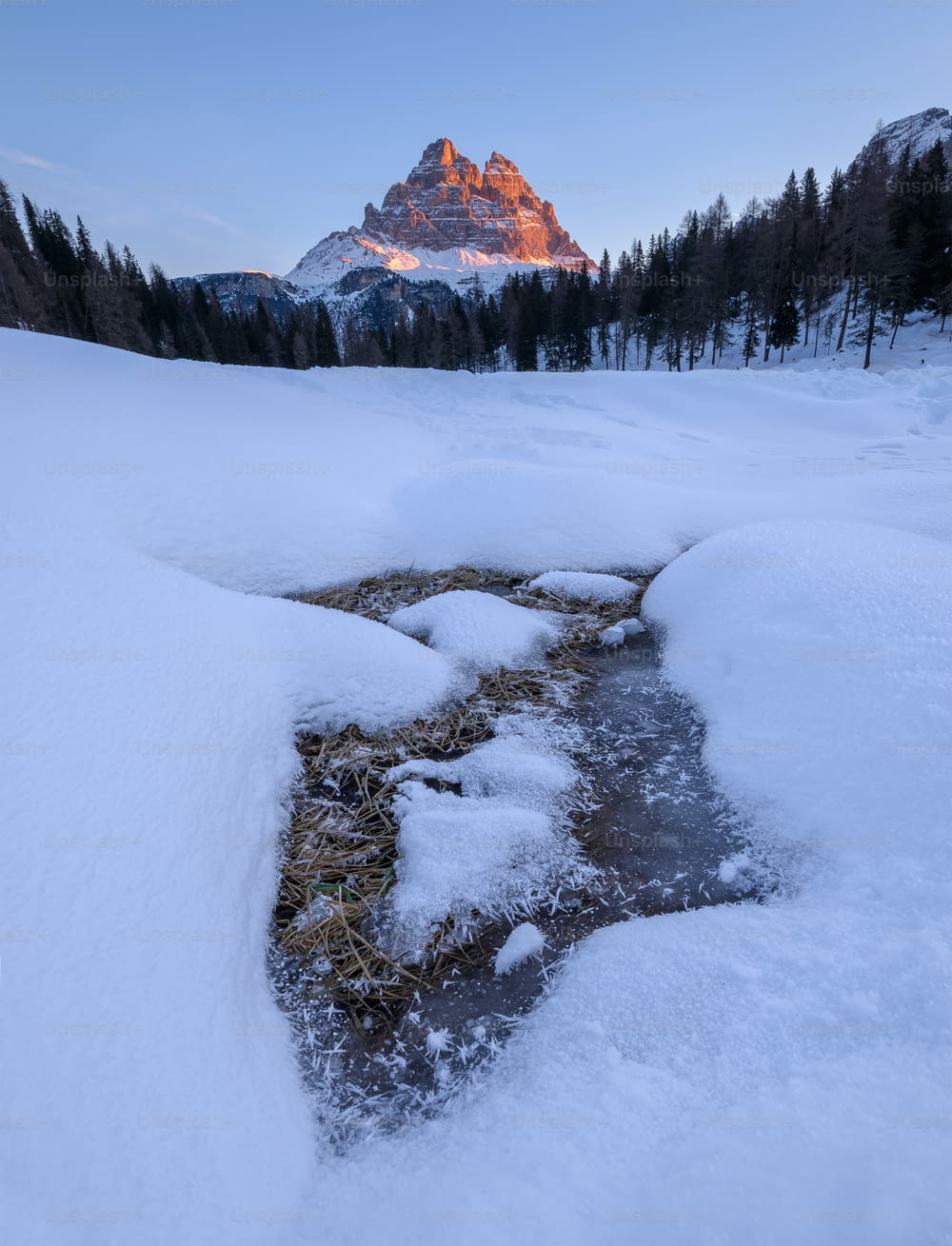 a snowy landscape with a mountain in the background