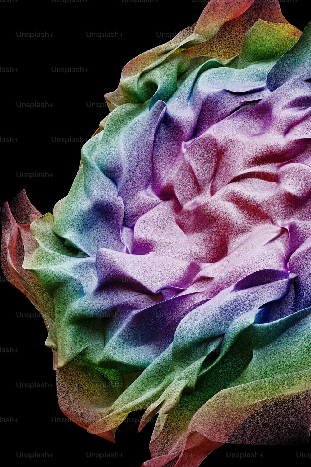 Un primo piano di un fiore colorato su uno sfondo nero