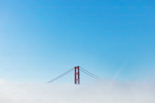 a ponte do portão dourado é cercada por neblina