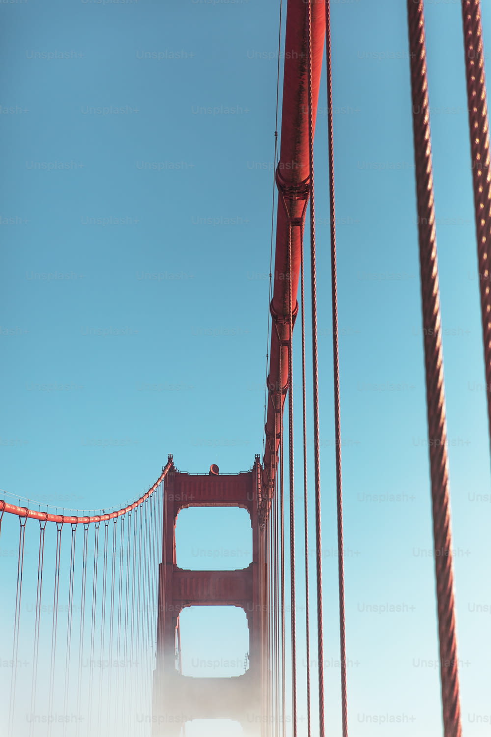 a view of the golden gate bridge from below
