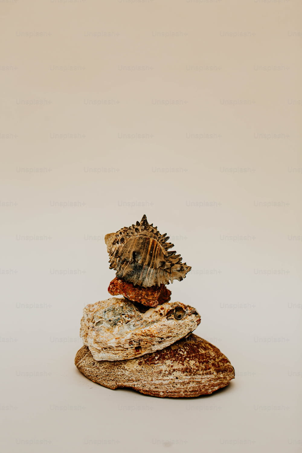 a pile of rocks with a small tree on top of them