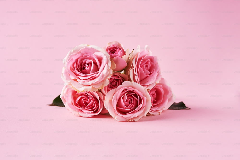 분홍색 배경에 분홍색 장미 꽃다발