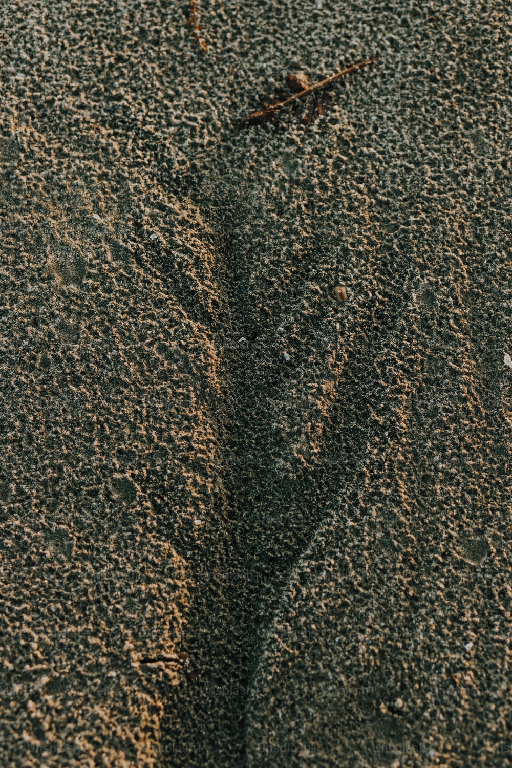 Un primo piano di una duna di sabbia con un uccello in lontananza