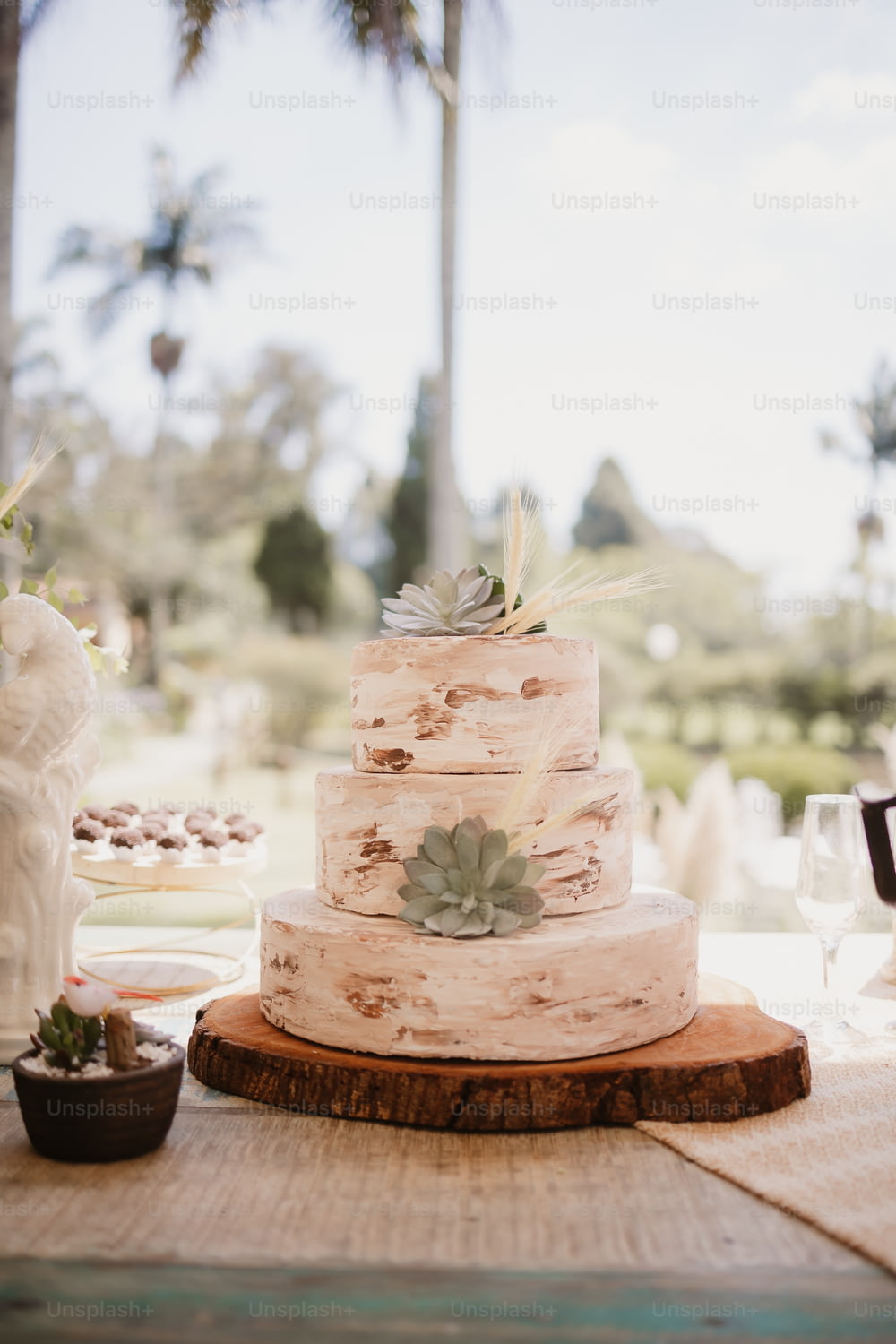 a wedding cake with succulents on a table