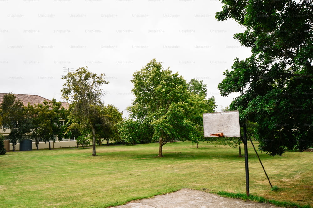 木々のある公園のバスケットボールコート