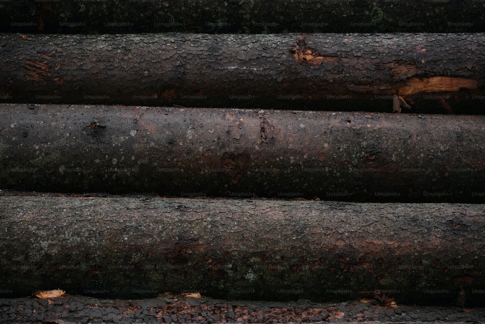 a bunch of logs stacked on top of each other