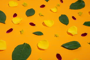 pétalas amarelas e vermelhas e folhas verdes em uma superfície amarela