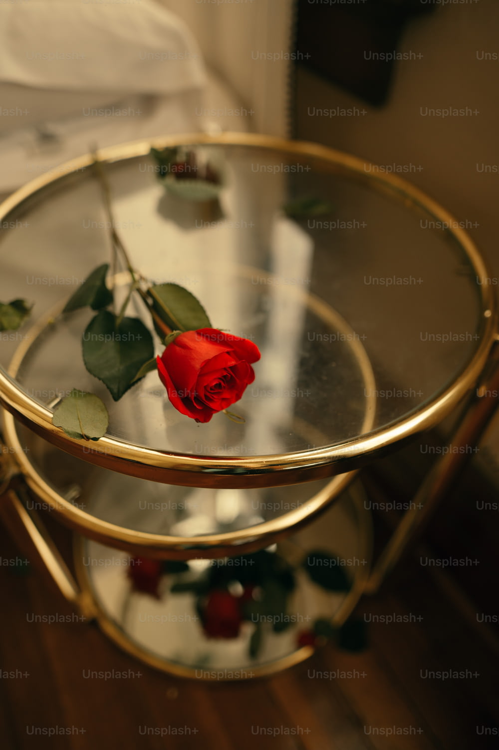 a red rose sitting on top of a glass table